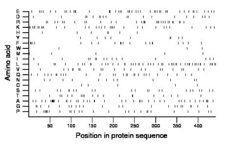 amino acid map