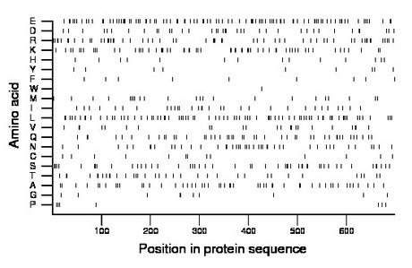 amino acid map