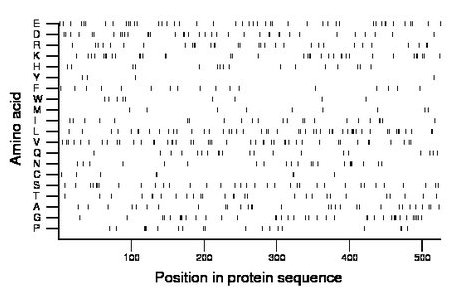 amino acid map