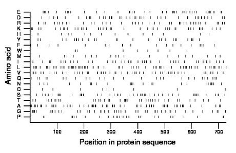 amino acid map