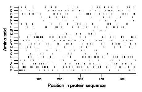 amino acid map