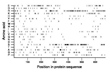 amino acid map