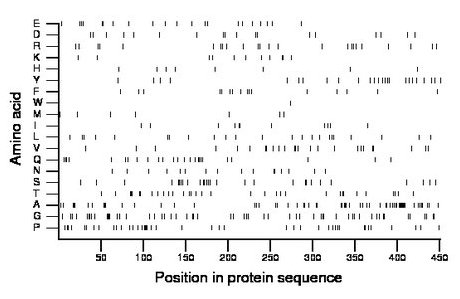 amino acid map