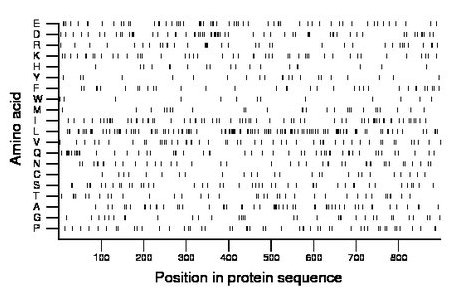 amino acid map