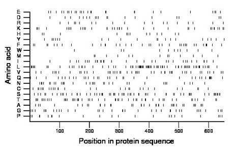 amino acid map