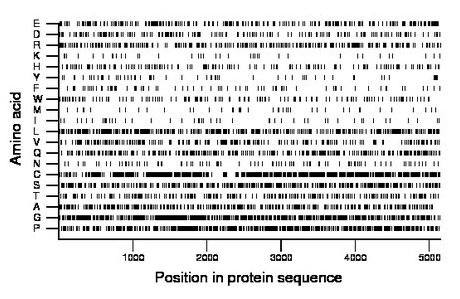 amino acid map