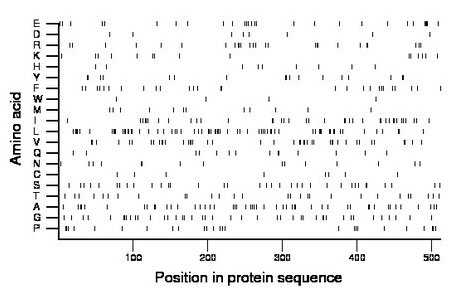 amino acid map