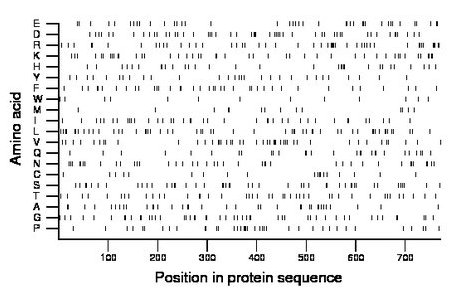 amino acid map