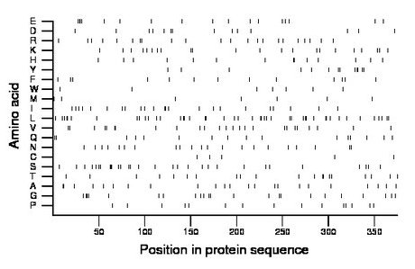 amino acid map