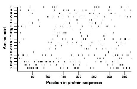 amino acid map