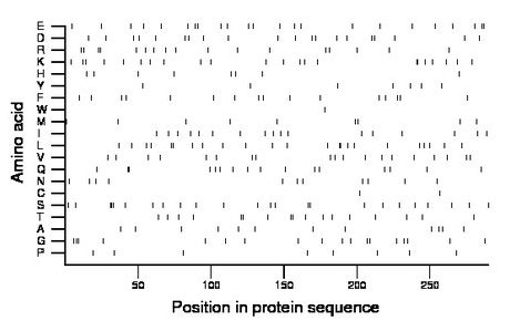 amino acid map