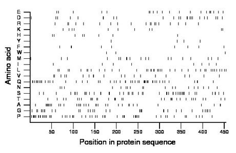 amino acid map