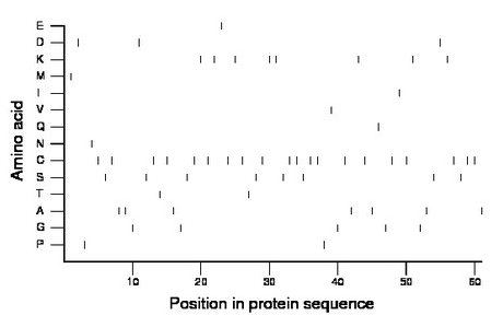 amino acid map