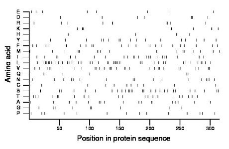 amino acid map