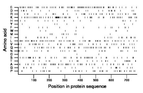 amino acid map