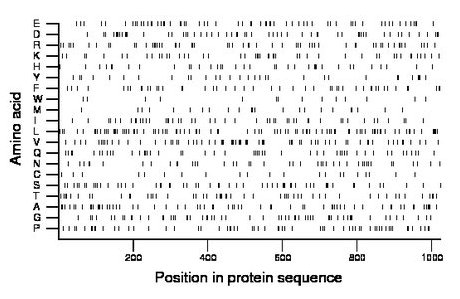 amino acid map