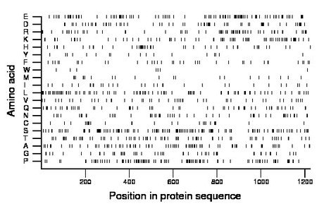 amino acid map