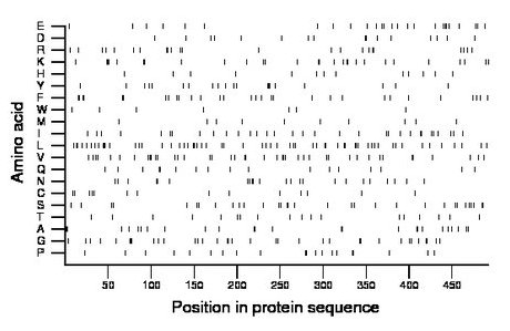 amino acid map