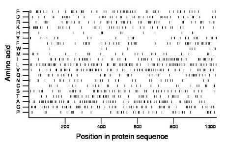 amino acid map