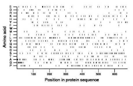 amino acid map