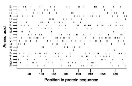 amino acid map