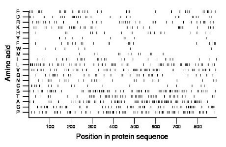 amino acid map