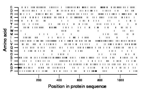 amino acid map