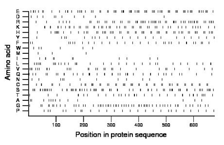 amino acid map