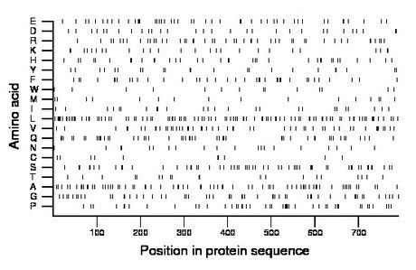 amino acid map