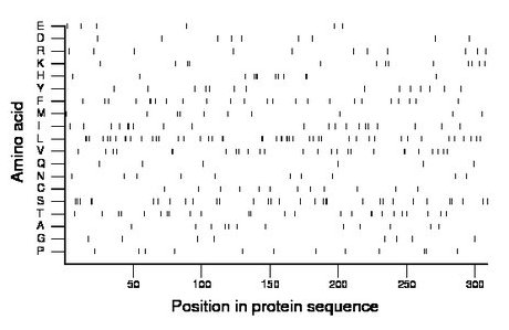 amino acid map