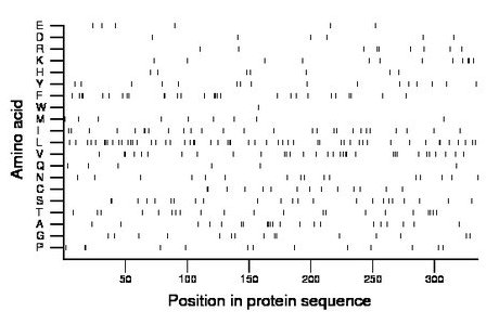 amino acid map