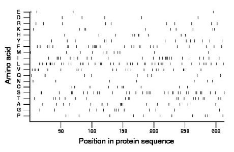 amino acid map