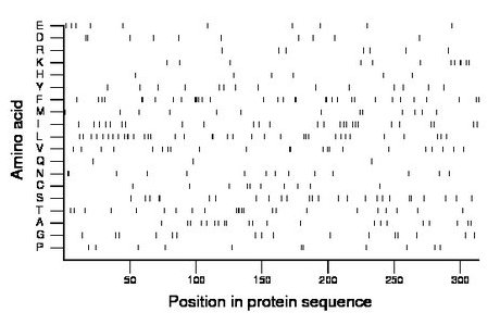 amino acid map