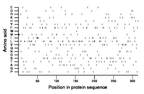 amino acid map