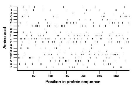 amino acid map