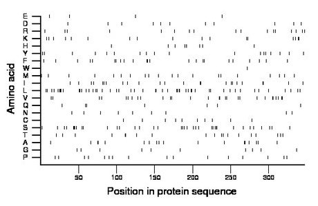 amino acid map