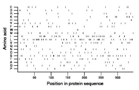 amino acid map