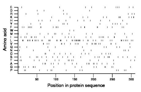 amino acid map