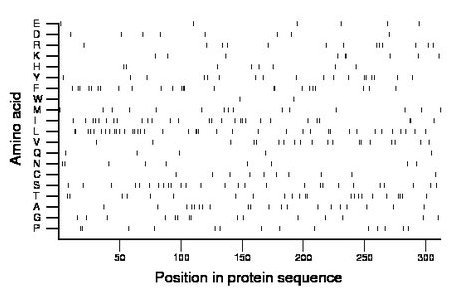 amino acid map