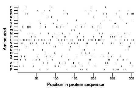 amino acid map