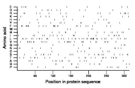 amino acid map