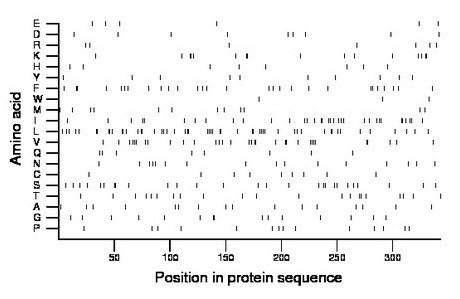 amino acid map