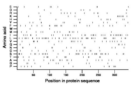 amino acid map