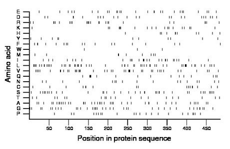 amino acid map