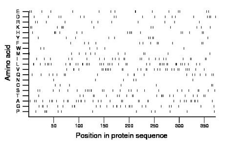 amino acid map