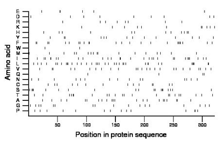 amino acid map