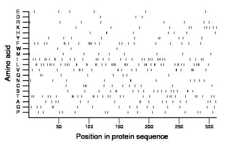 amino acid map