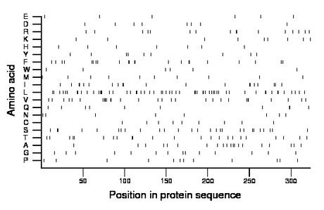 amino acid map