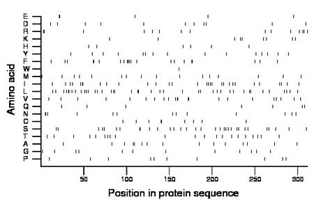 amino acid map