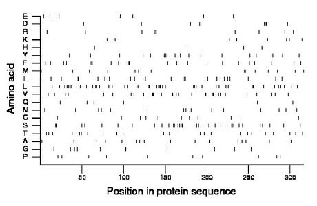 amino acid map